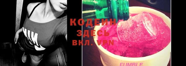 прущие грибы Липки