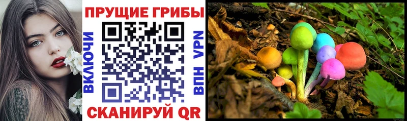 купить наркотики цена мега как войти Галлюциногенные грибы прущие грибы Нерчинск