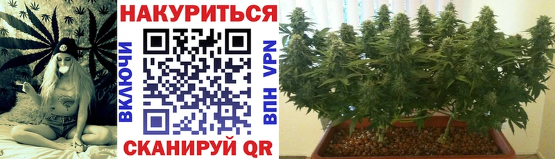 Шишки марихуана конопля  Нерчинск 